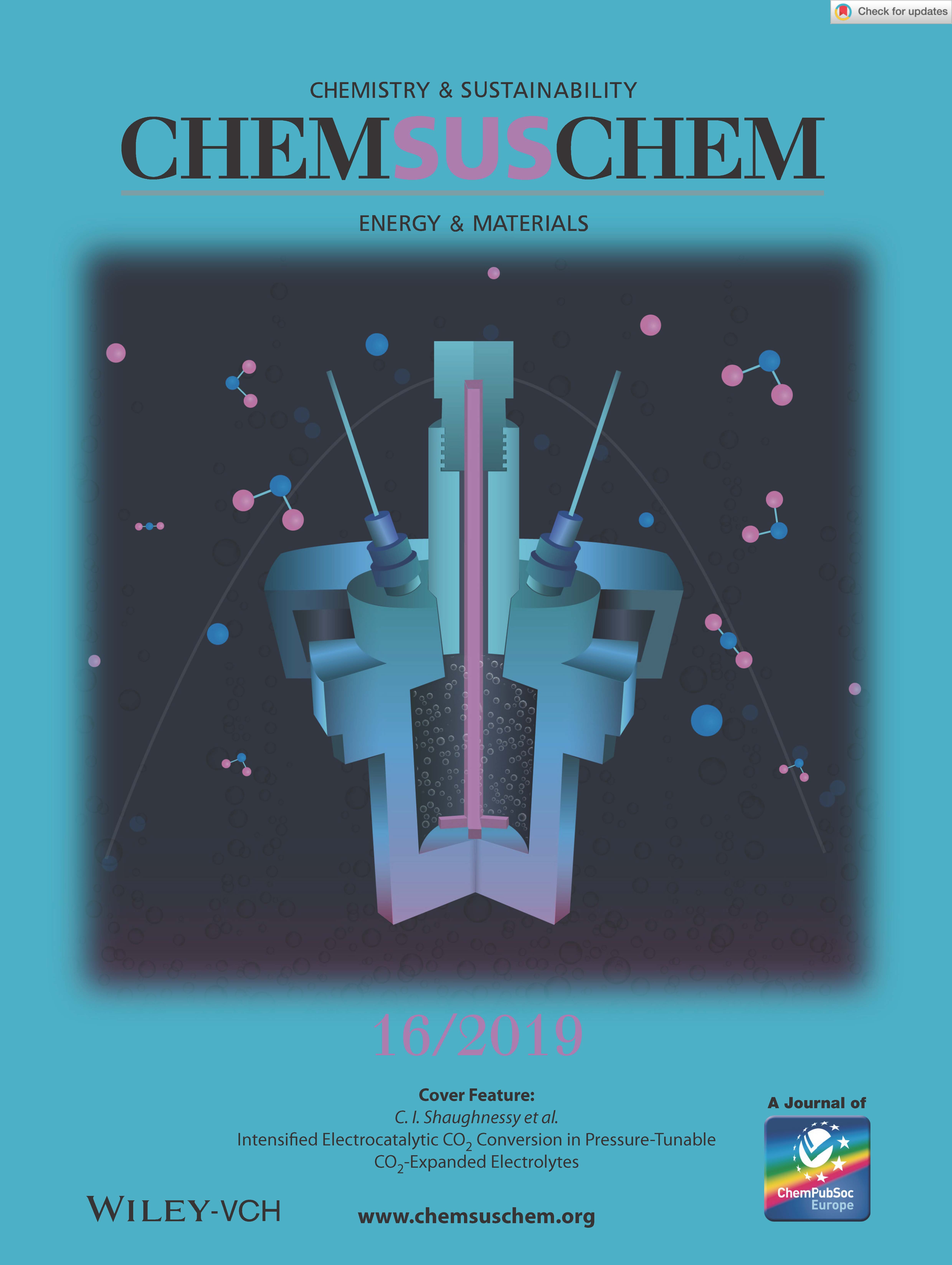 Cover of ChemSusChem issue 16/2019